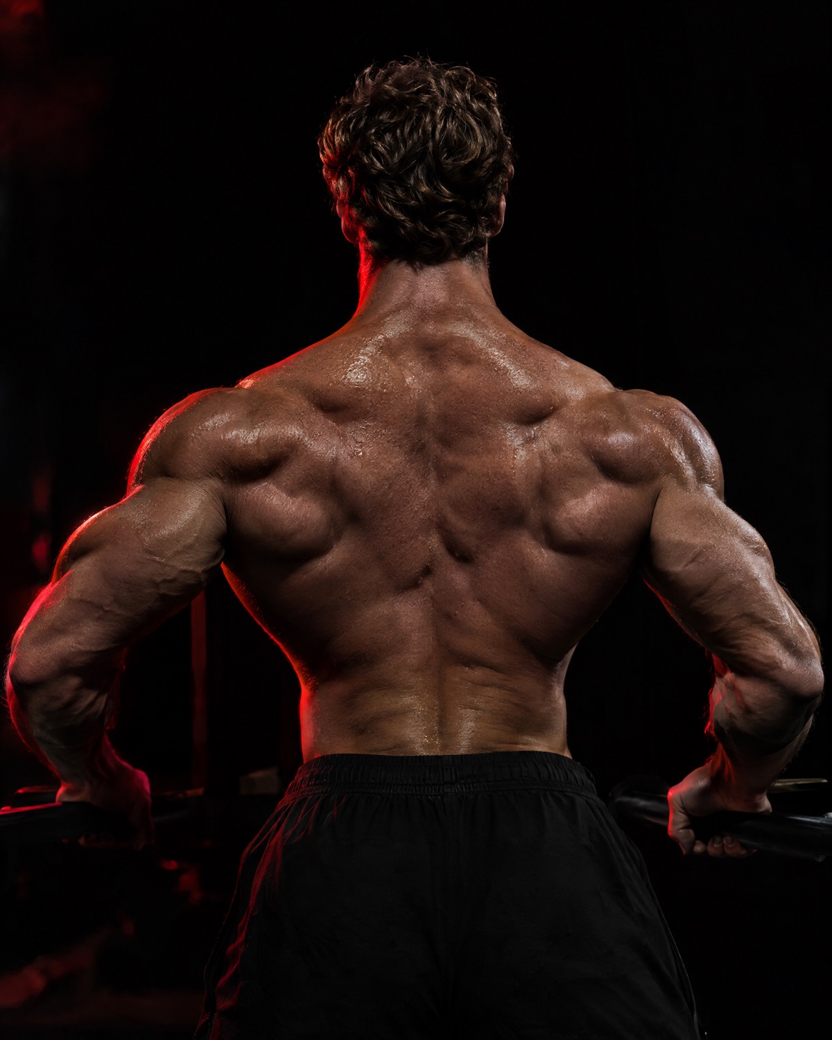 Back training